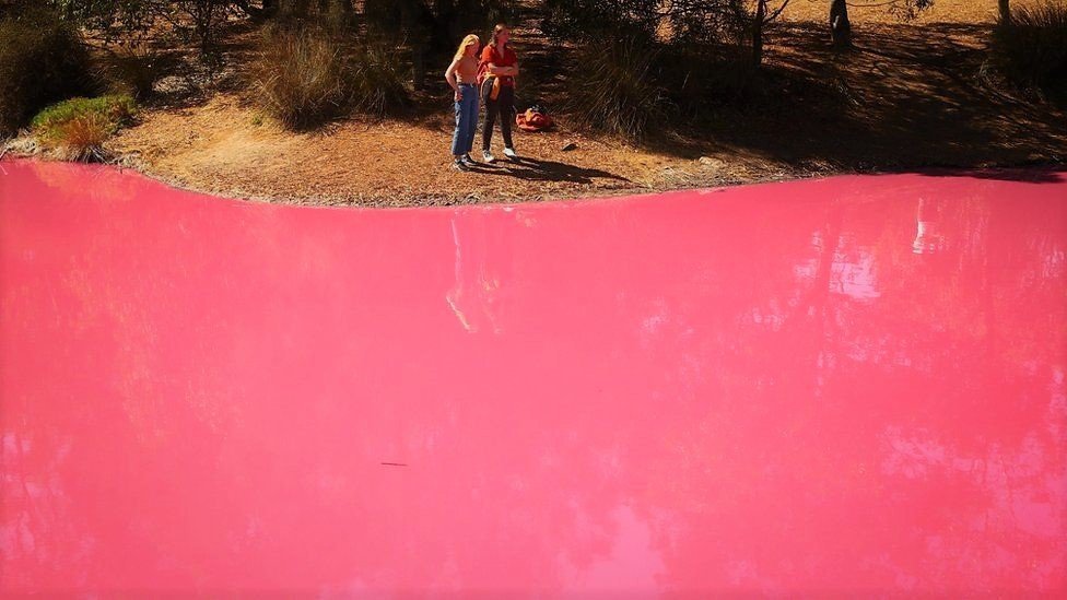 «Цвет настроения розовый»: в Австралии туристов удивило необычное озеро - рис. 6