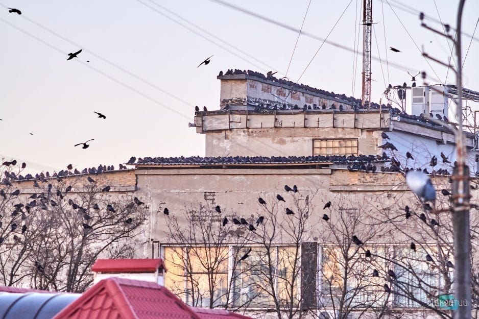 Подборка фотографий за февраль от Відкритого - рис. 22