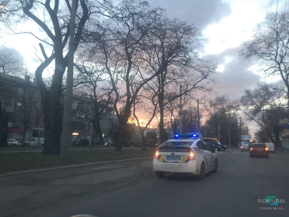 На проспекте Пушкина упало дерево: движение трамваев парализовано - рис. 1