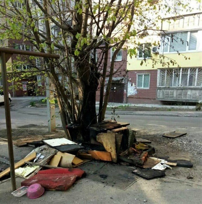 В Днепре сожгли будки для бездомных собак - рис. 8