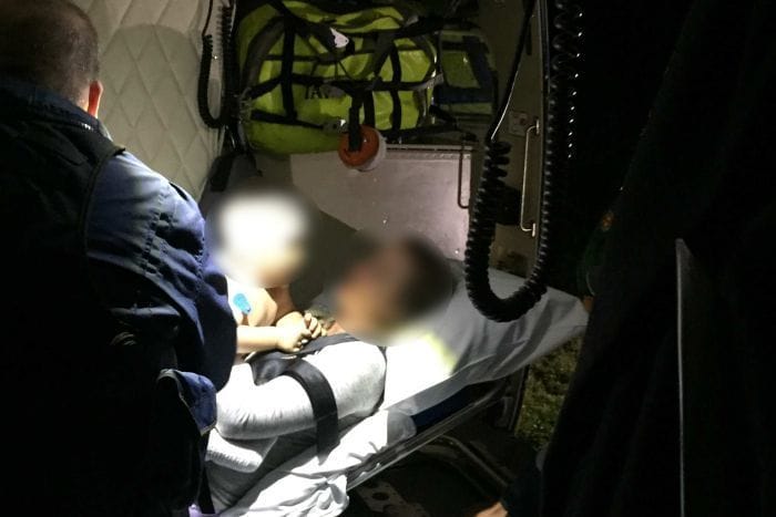 В Австралии собака динго похитила годовалого малыша - рис. 1