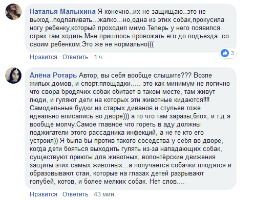 В Днепре сожгли будки для бездомных собак - рис. 2