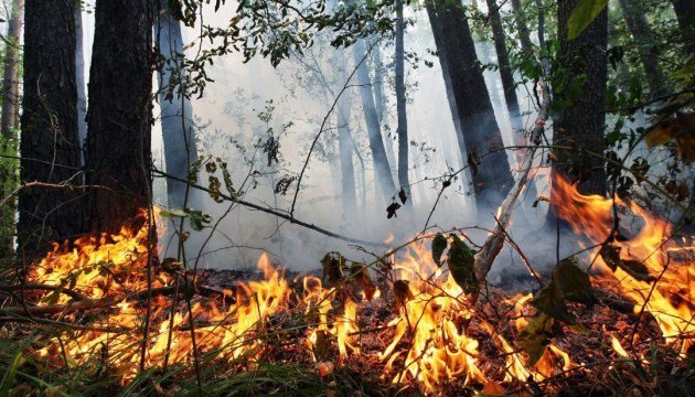 В Днепропетровской области объявили штормовое предупреждение: пожарная опасность высшего класса - рис. 1