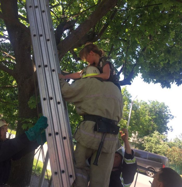 На Днепропетровщине спасатели сняли девочку с дерева - рис. 1