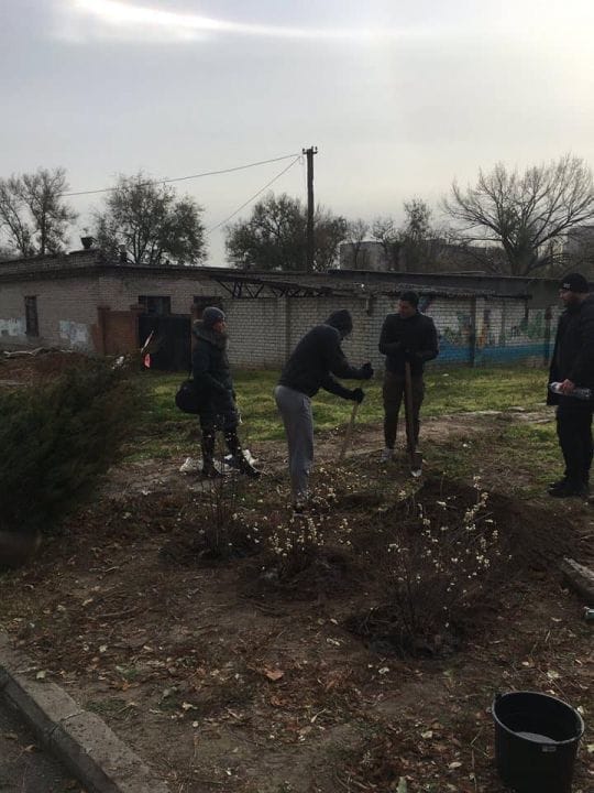 В Днепре со школьной территории украли хвойники: администрация и родители просят воров вернуть похищенное - рис. 3