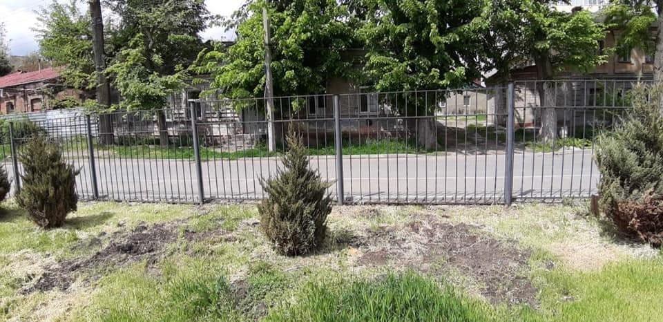 В Днепре со школьной территории украли хвойники: администрация и родители просят воров вернуть похищенное - рис. 4