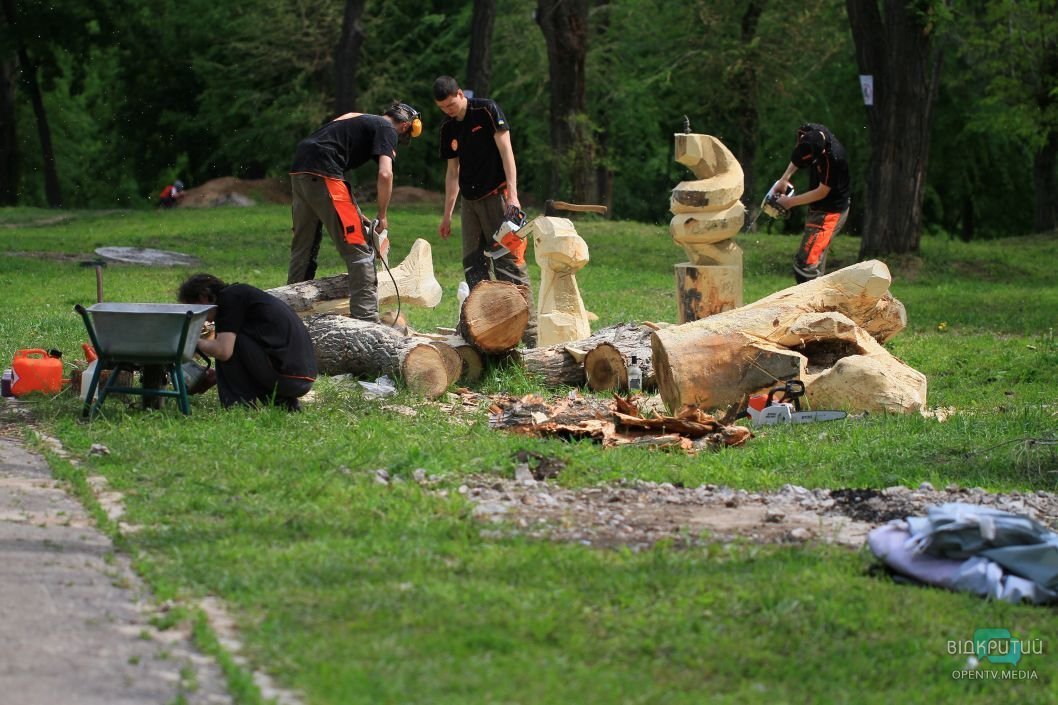 Вогонь та рибки з дерева: у Дніпрі пройшов фестиваль «Зелена хвиля» - рис. 1