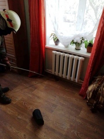В Днепропетровской области в дом заползла змея, напугав домочадцев - рис. 1