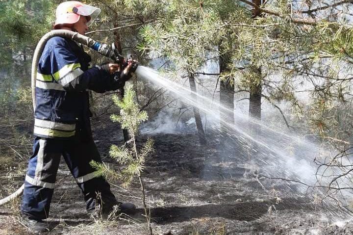В Магдалиновском районе горел лес - рис. 16