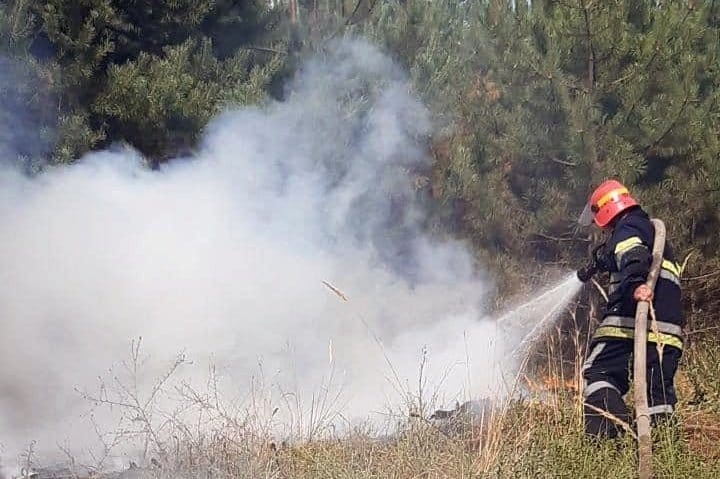 В Магдалиновском районе горел лес - рис. 1