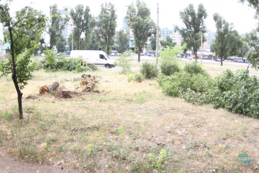 В Днепре исполком дал добро на спил 21 дерева - рис. 12