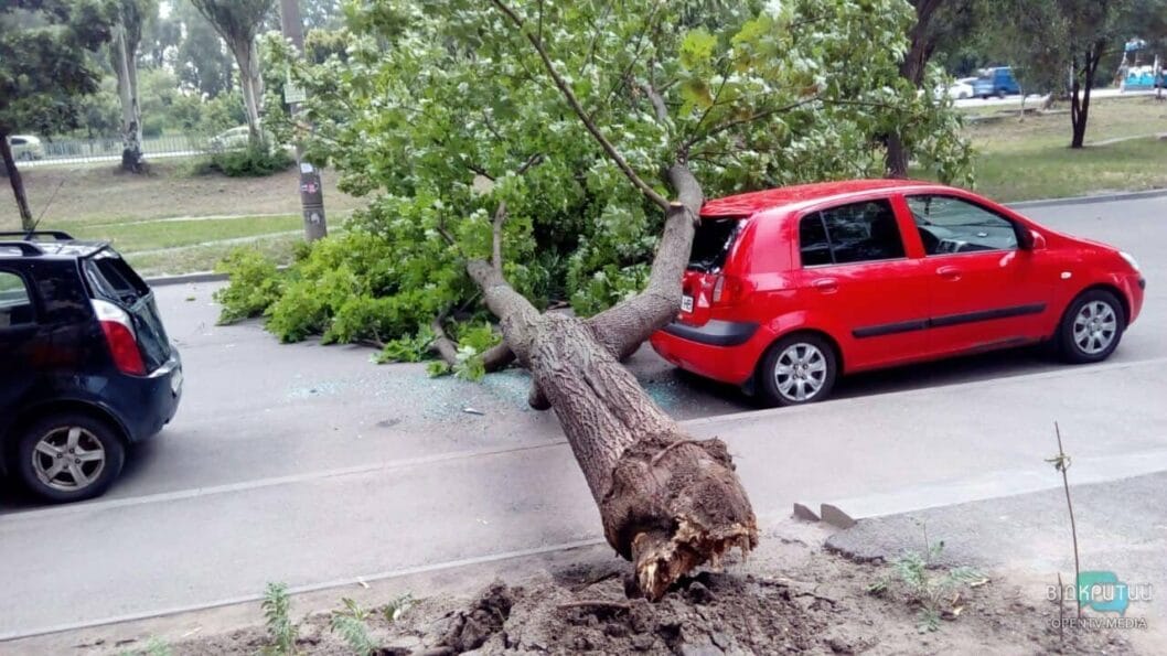 В Днепре на Красном Камне дерево упало на автомобили - рис. 17