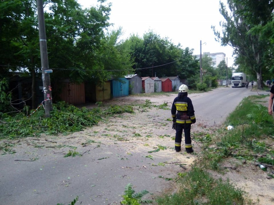 Ветер, дождь и поваленные деревья: как в Днепропетровской области спасатели боролись со стихией - рис. 8