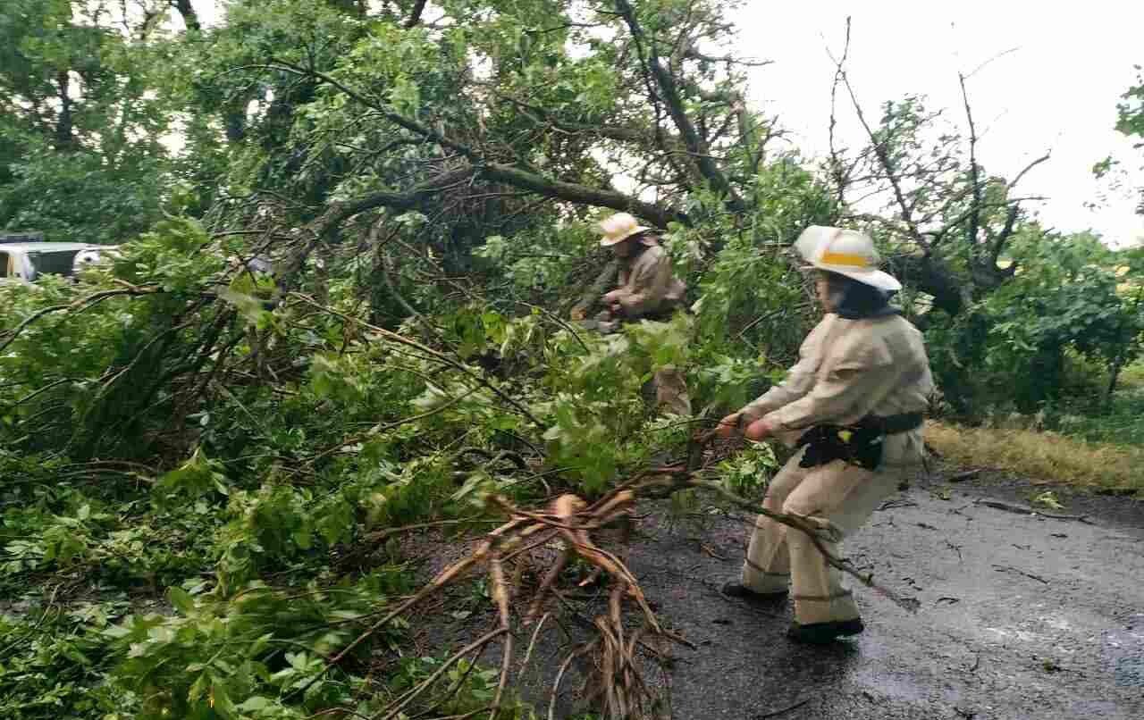 Ветер, дождь и поваленные деревья: как в Днепропетровской области спасатели боролись со стихией - рис. 1