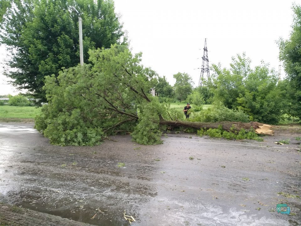 Ветер, дождь и поваленные деревья: как в Днепропетровской области спасатели боролись со стихией - рис. 5