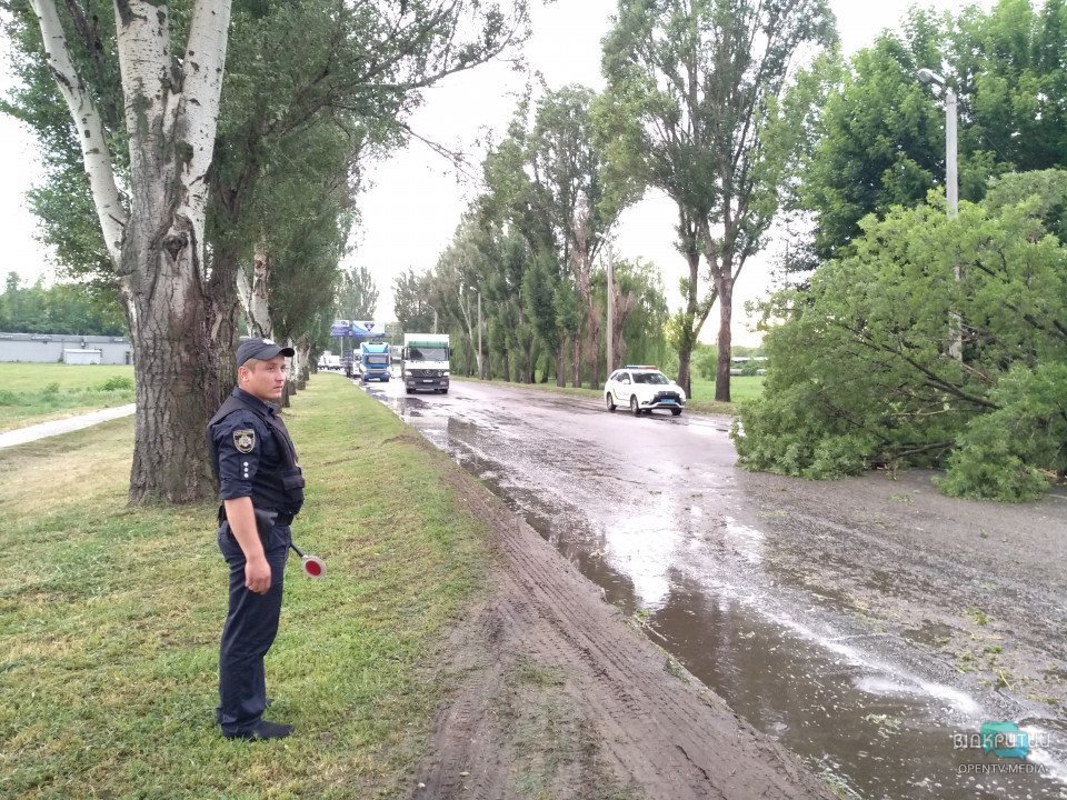 Ветер, дождь и поваленные деревья: как в Днепропетровской области спасатели боролись со стихией - рис. 6