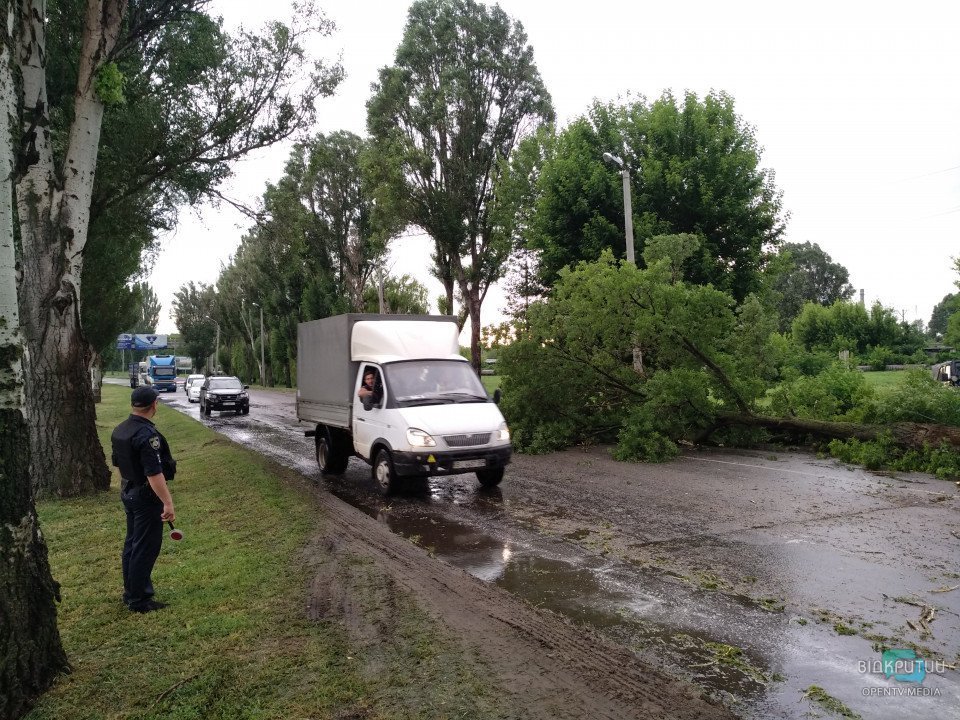 Ветер, дождь и поваленные деревья: как в Днепропетровской области спасатели боролись со стихией - рис. 7