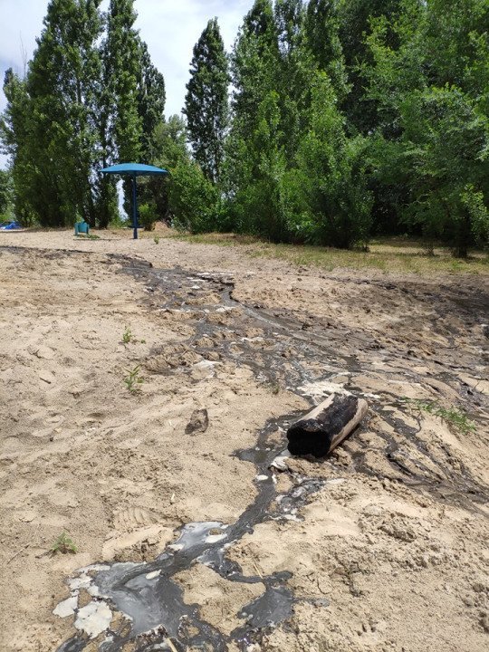 Днепрян просят не купаться на пляже в Приднепровске - рис. 1
