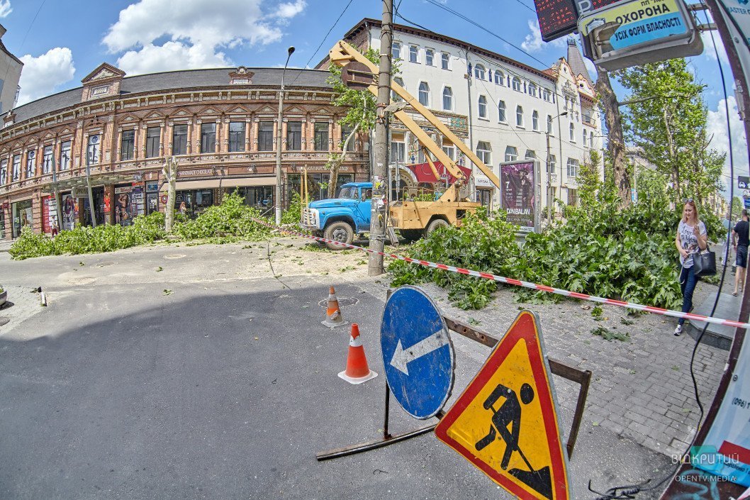 В Днепре проходит реконструкция улицы Короленко: экологи против спила деревьев - рис. 9