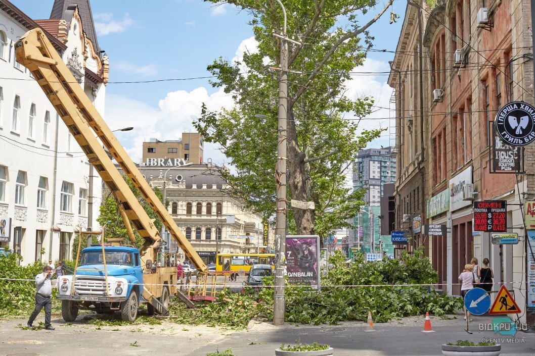 В Днепре проходит реконструкция улицы Короленко: экологи против спила деревьев - рис. 5