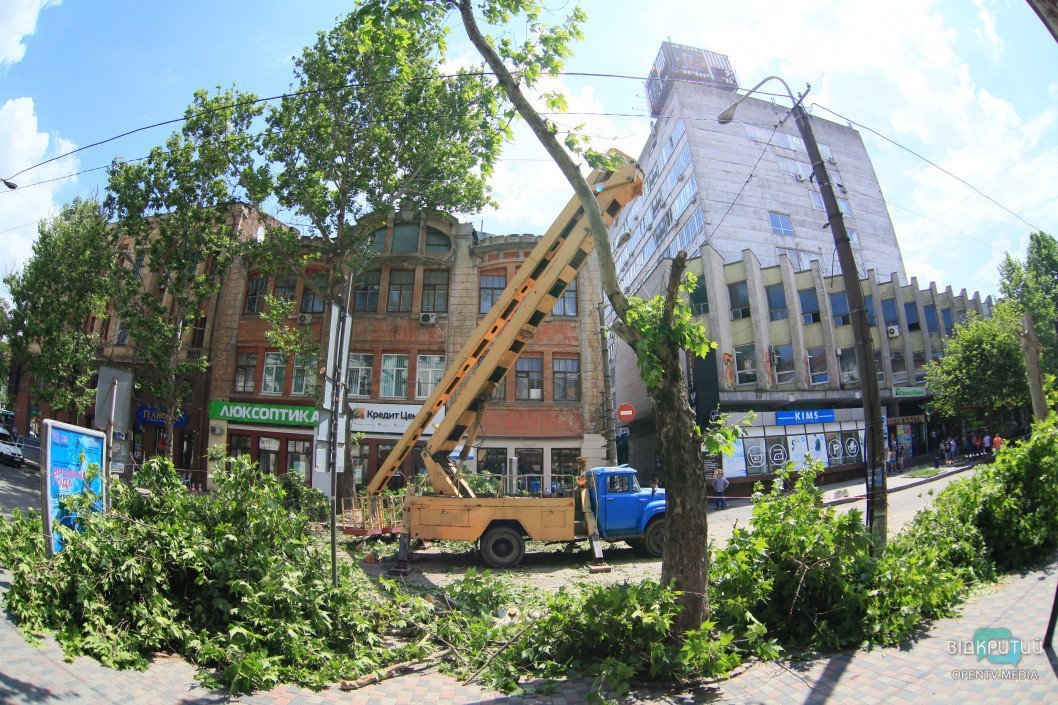 В Днепре проходит реконструкция улицы Короленко: экологи против спила деревьев - рис. 1