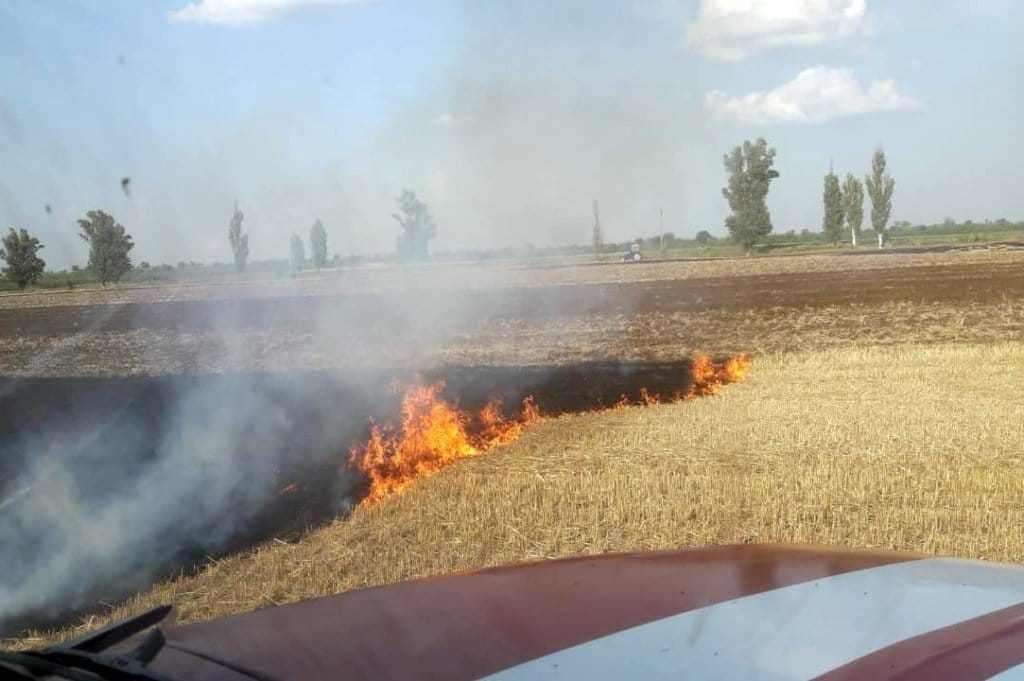 У Дніпропетровській області за добу шістнадцять разів горіли екосистеми - рис. 12