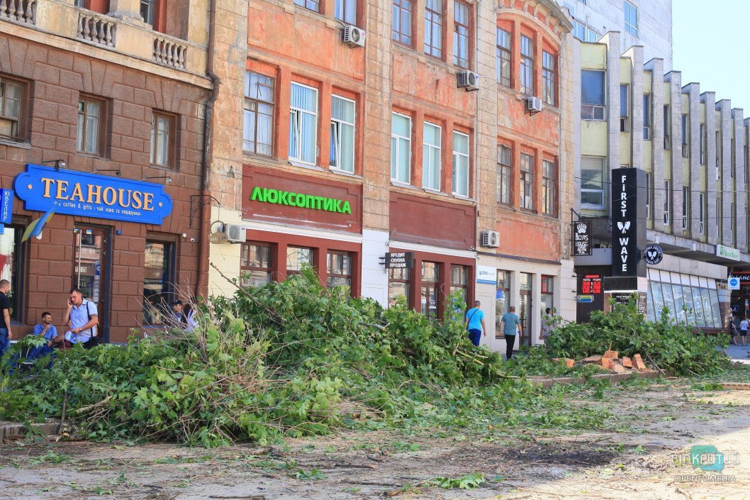 Депутаты Днепра поддержали мораторий на вырубку деревьев - рис. 3