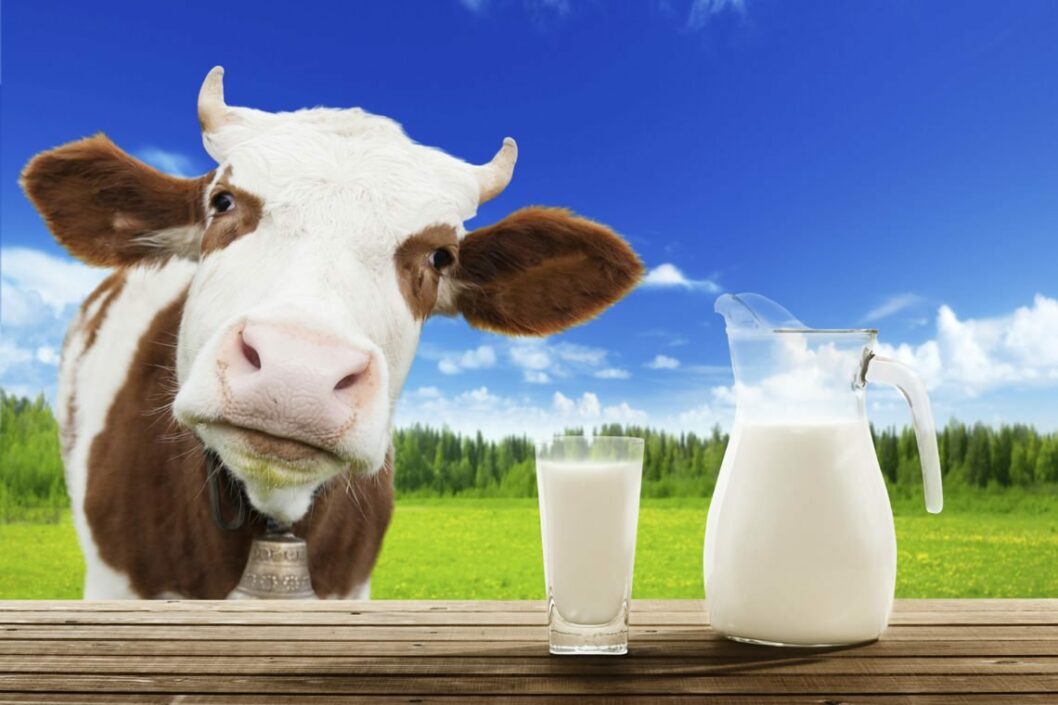 В Украине ужесточили требования к качеству молочной продукции - рис. 1