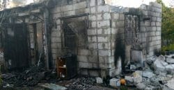 В Кривом Роге во время пожара в дачном доме погиб ребенок - рис. 18