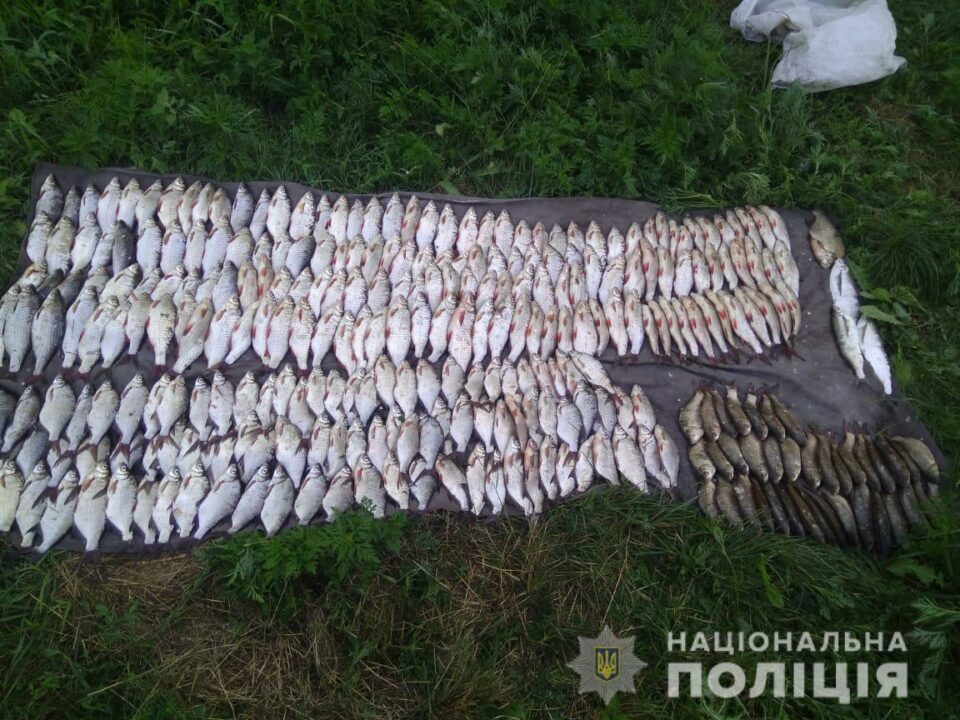 В Верхнеднепровском районе двое пенсионеров порыбачили на 17 000 гривен - рис. 2