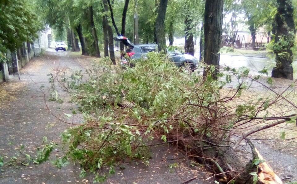 Підтоплення приміщення хімічного заводу та повалені дерева: у Дніпропетровській області вирує негода - рис. 2