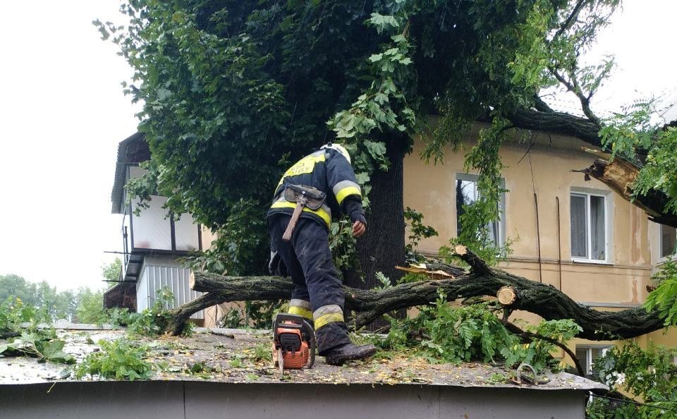 Підтоплення приміщення хімічного заводу та повалені дерева: у Дніпропетровській області вирує негода - рис. 4