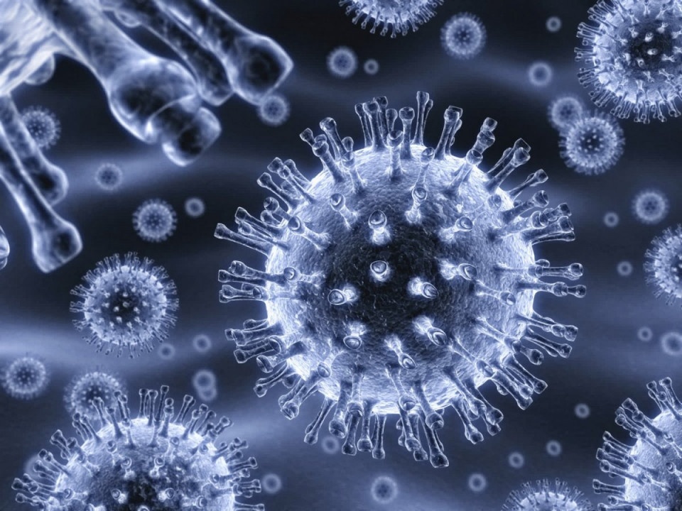 Ротавірусна інфекція влітку: профілактика та лікування - рис. 5