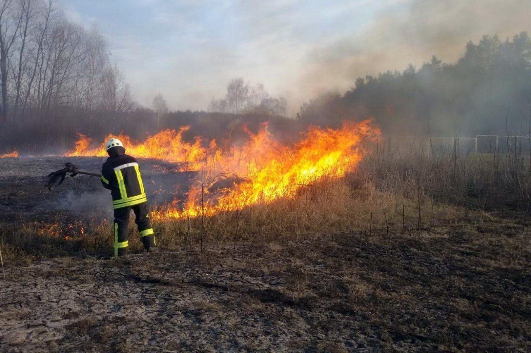«Найпоширеніші пожежі в екосистемах — це трав'яні підпали», — рятувальники Дніпра - рис. 1