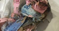 У Джакарті терміти з'їли мільйонну заначку дівчини - рис. 20