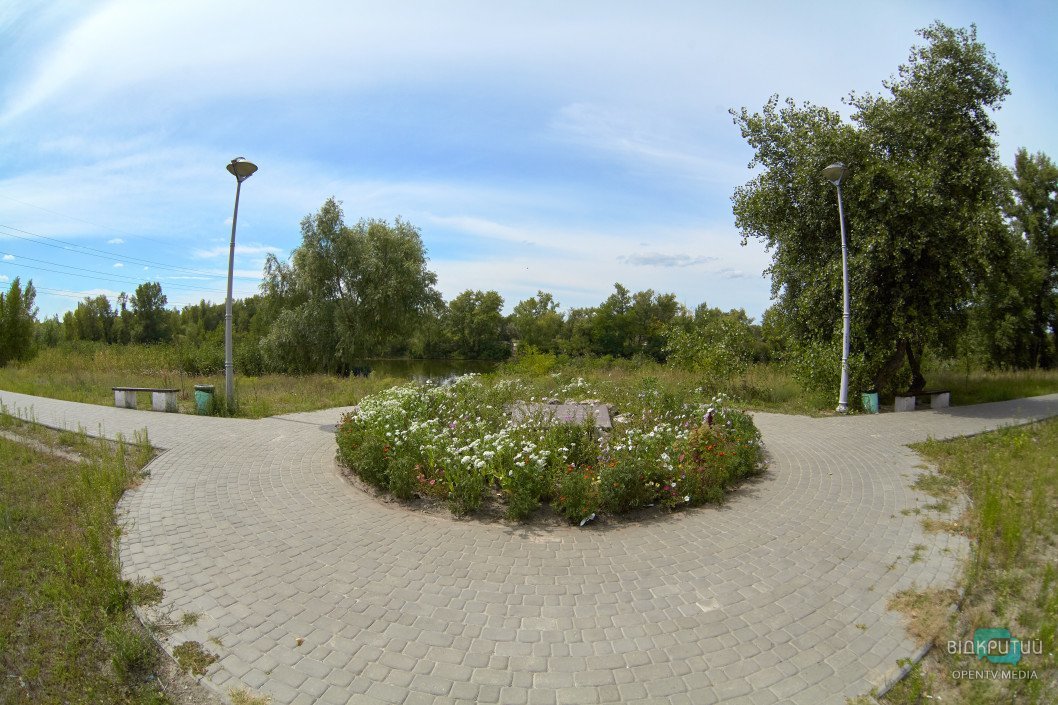 Природа у великому місті: зелена зона на житломасиві Ломівський - рис. 6