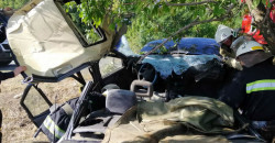 В Днепропетровской области автомобиль врезался в дерево: есть пострадавшие - рис. 19