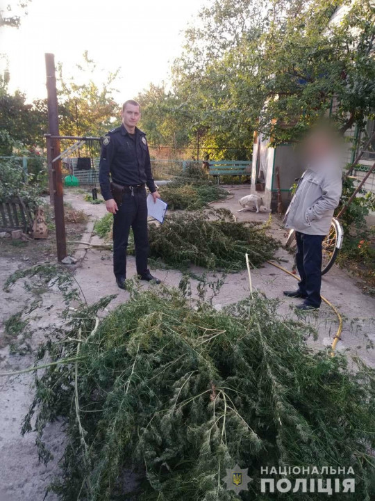 В Днепропетровской области мужчина хранил около 40 килограммов конопли - рис. 1
