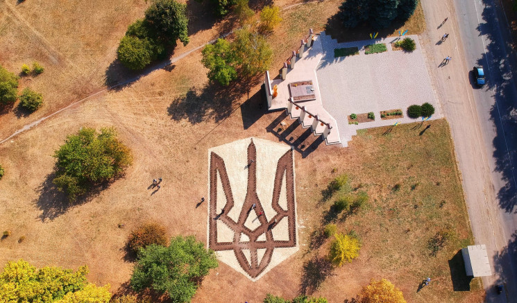 В Днепропетровской области высадили кустарники в форме герба Украины - рис. 1