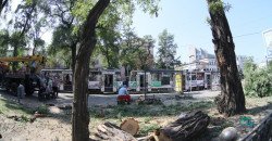 На центральном проспекте Днепра спилили деревья - рис. 11