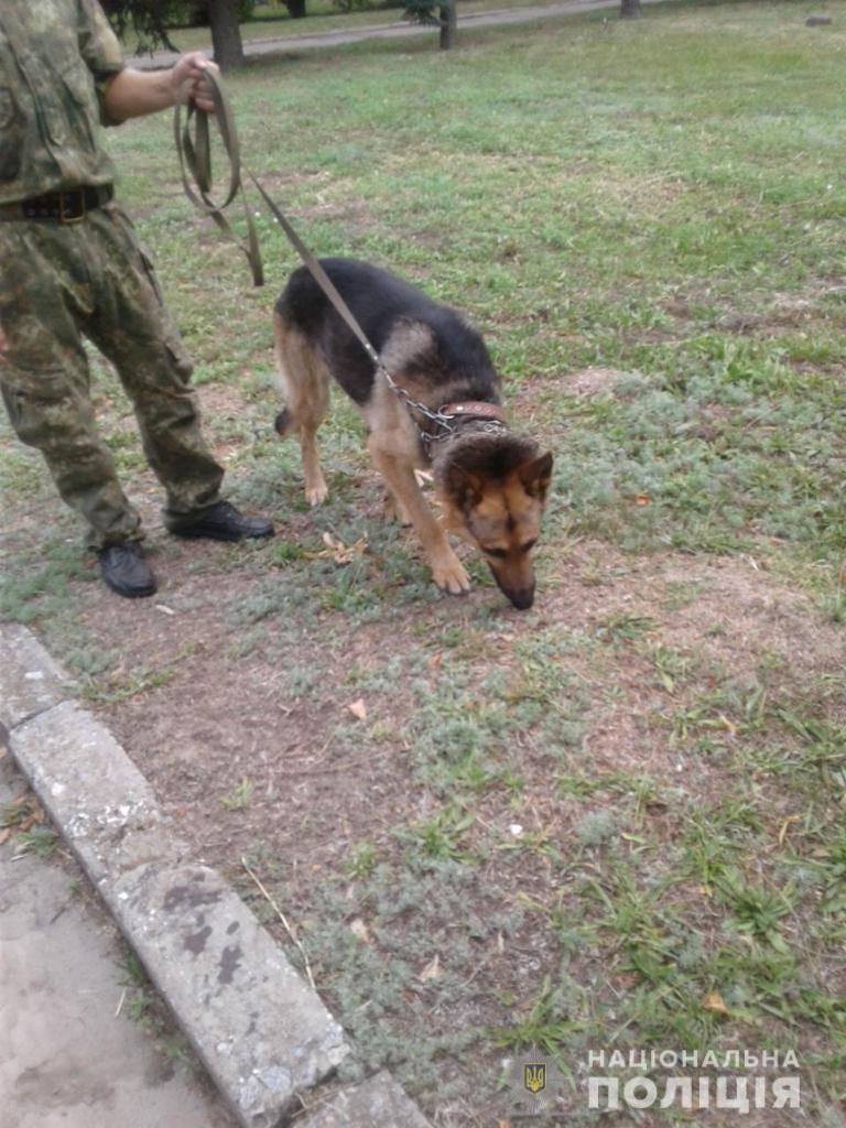 В Днепропетровской области служебная собака помогла найти четырехлетнюю девочку - рис. 1