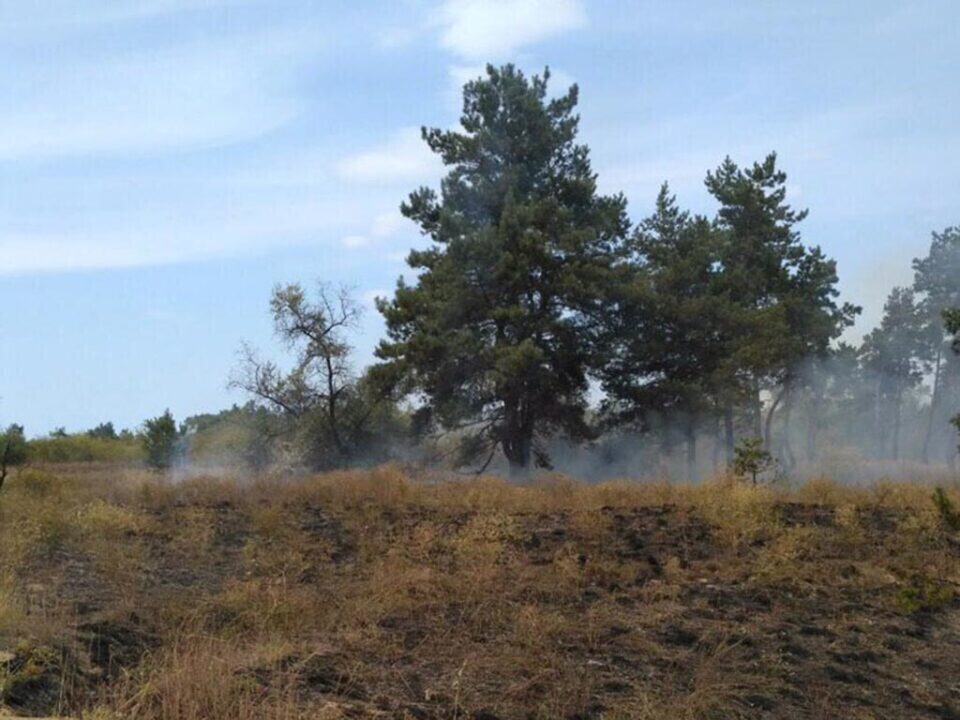 В Петриковском районе спасатели ликвидировали пожар в лесу - рис. 1