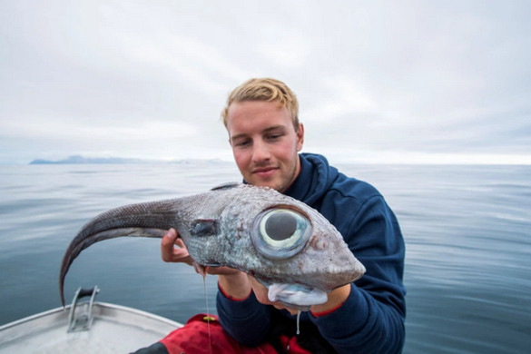 В Норвегии парень поймал рыбу-монстра - рис. 1