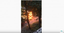 В Днепре на Казакевича вспыхнул легковой автомобиль - рис. 5