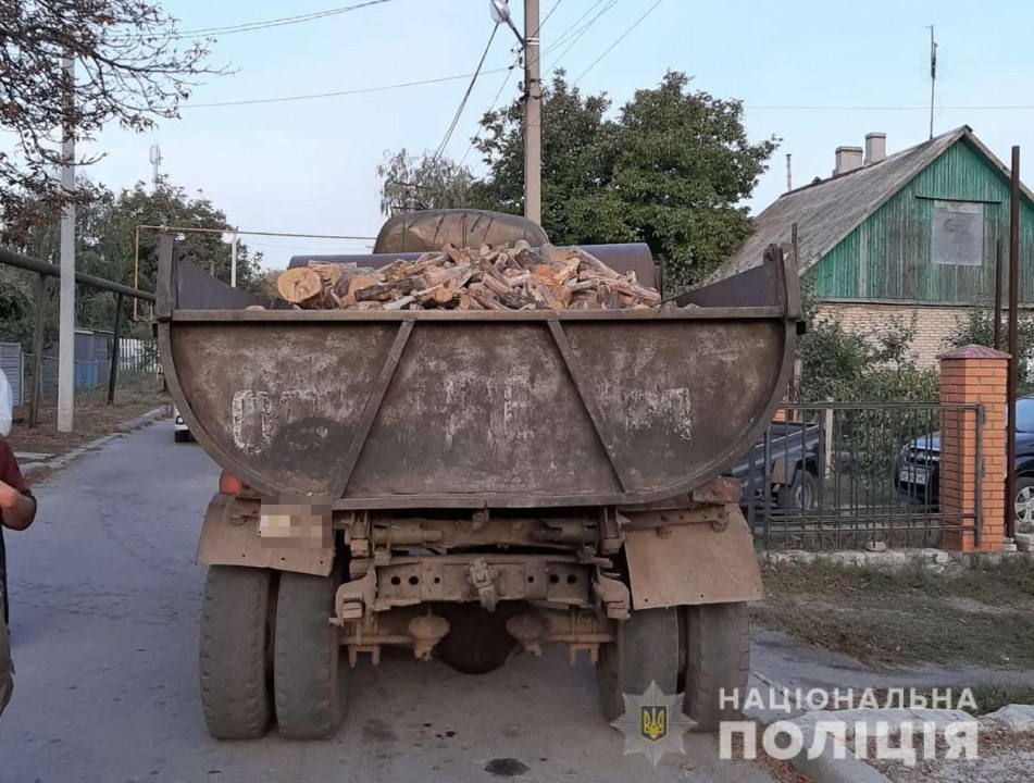 В Терновке полиция остановила автомобиль с незаконно спиленными деревьями - рис. 1