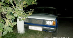 В Днепропетровской области горе-угонщик разбил украденный «ВАЗ» - рис. 12