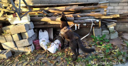 В Днепре служебный пес нашел наркотики и боеприпасы - рис. 8