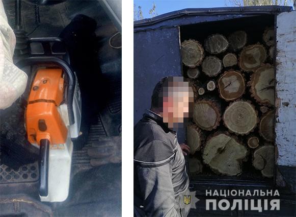 В Каменском полицейские задержали водителя, который перевозил незаконно срубленные деревья акации - рис. 1