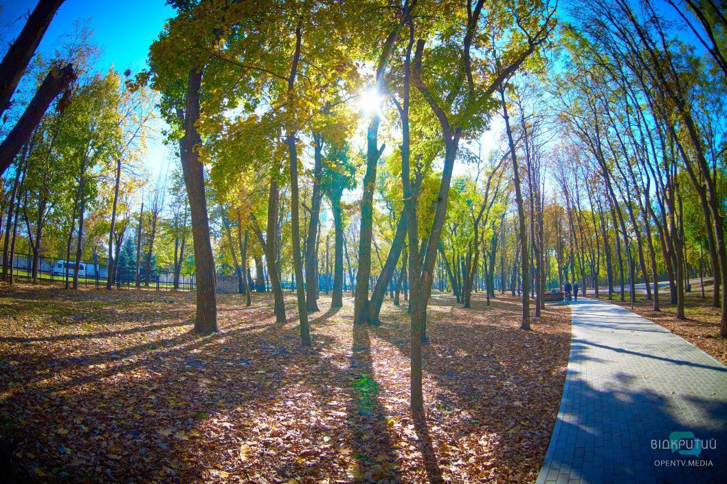 Осенний парк имени Юрия Гагарина в Днепре: как он выглядит сейчас - рис. 9