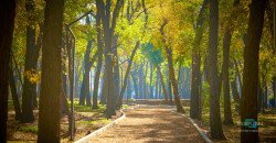 Осенний парк имени Юрия Гагарина в Днепре: как он выглядит сейчас - рис. 21